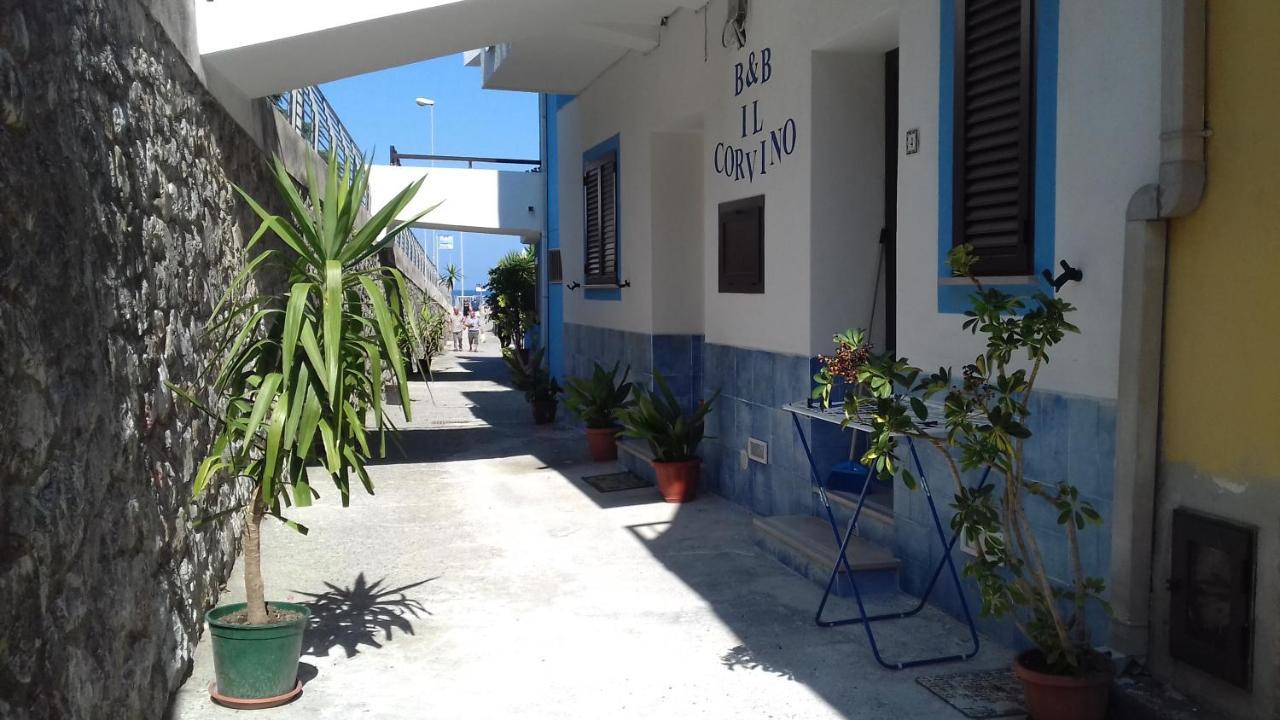 Il Corvino Bed & Breakfast Diamante Bagian luar foto